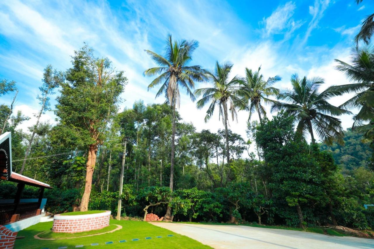 River View Guest House ماديكيري المظهر الخارجي الصورة